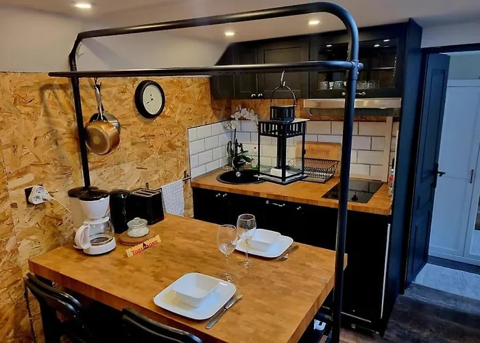 Peniche Chaleureuse Avec Jacuzzi Centre Τουλούζη